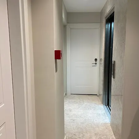 Iris 5*